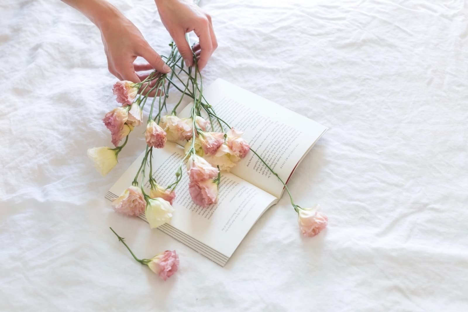 Tørkede blomster og en oppslått bok på hvitt lin